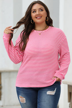 Long sleeve top and round neck *