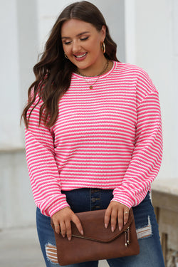 Long sleeve top and round neck *