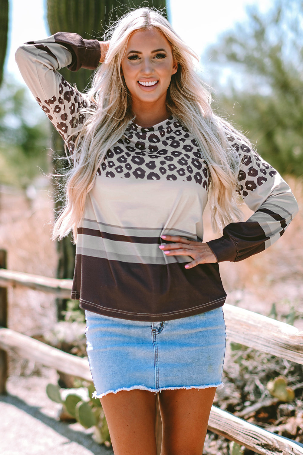 Brown Leopard Color Block Crewneck Long Sleeve Top